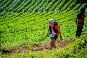 BIB: 720
                            <button type="button" onclick="openModal(19161662)" class="btn btn-primary btn-sm float-right btn-popup" data-toggle="modal" data-target=".modal-high-quality">
                        <i class="fas fa-shopping-cart"></i> Add to Cart
                    </button>
                                            <button type="button" onclick="isThisMe(19161662, true)" class="btn btn-success btn-sm float-right btn-popup btn-isme hidden" data-toggle="tooltip" data-placement="bottom" title="นี่คือรูปของคุณใช่ไหม คลิกที่นี่เพื่อเอาเข้าอัลบั้ม">
                        <i class="fas fa-plus"></i> Add to album
                    </button>
                    <button type="button" onclick="isThisMe(19161662, false)" class="btn btn-warning btn-sm float-right btn-popup btn-isnotme hidden">
                        <i class="fas fa-ban"></i> Remove from album
                    </button>